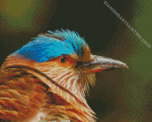 Indian Roller Bird Head Diamond Painting