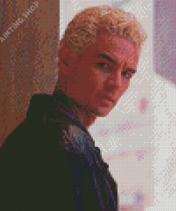 James Wesley Marsters Diamond Painting