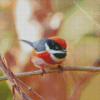 Red Head Long Tailed Tit Diamond Painting