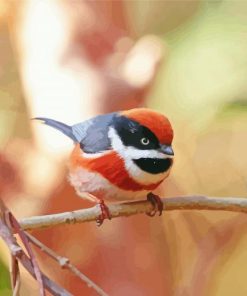 Red Head Long Tailed Tit Diamond Painting