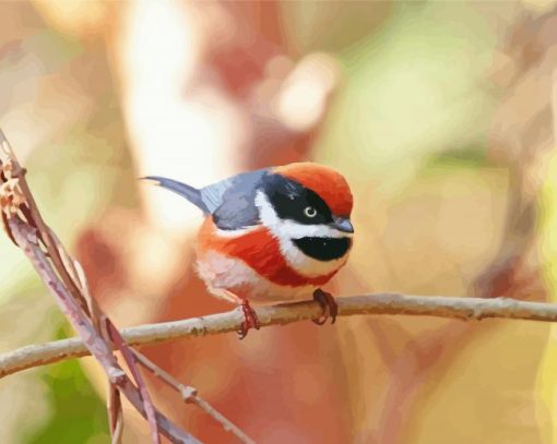 Red Head Long Tailed Tit Diamond Painting