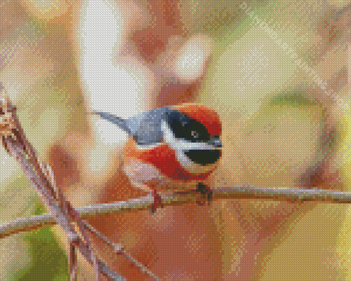 Red Head Long Tailed Tit Diamond Painting