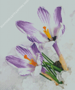 Spring Flower In Snow Diamond Painting