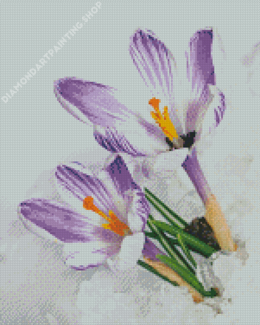 Spring Flower In Snow Diamond Painting