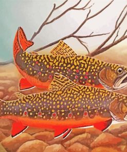 The Brook Trout Fish Diamond Painting