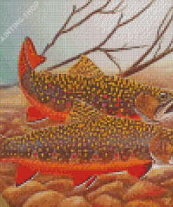 The Brook Trout Fish Diamond Painting