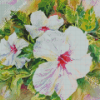 White Hibiscus Flowers Art Diamond Painting