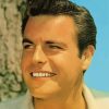 Young Actor Robert Wagner Diamond Painting