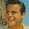 Young Actor Robert Wagner Diamond Painting