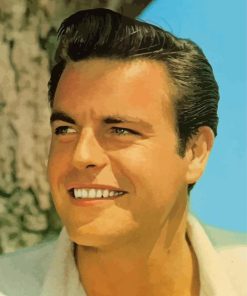 Young Actor Robert Wagner Diamond Painting