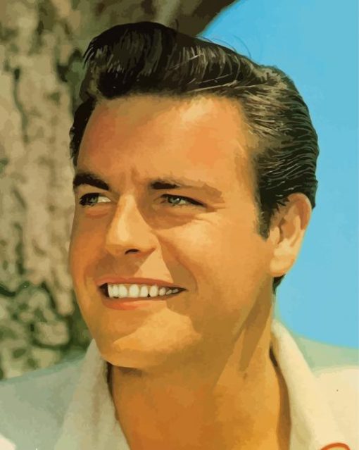 Young Actor Robert Wagner Diamond Painting