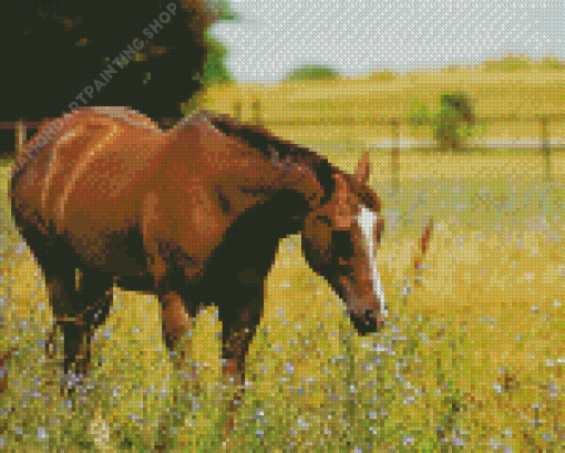 Adorable Brown Mare Horse Diamond Painting