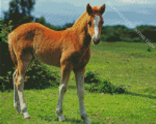 Aesthetic Horse Foal Diamond Painting