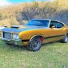 Aesthetic Oldsmobile 442 Illustration Diamond Painting