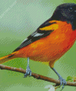 Aesthetic Orioles Bird Illustration Diamond Painting