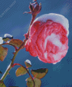 Aesthetic Spring Flower In Snow Diamond Painting