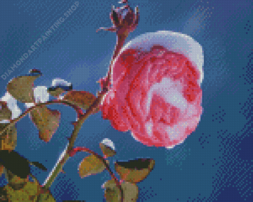 Aesthetic Spring Flower In Snow Diamond Painting