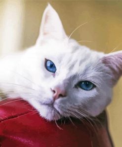 Aesthetic White Cat Diamond Painting