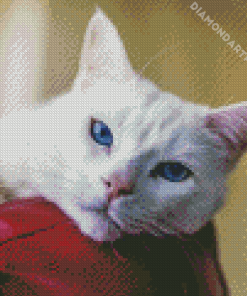 Aesthetic White Cat Diamond Painting