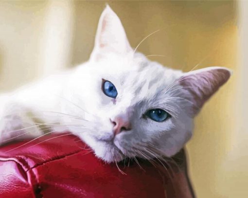 Aesthetic White Cat Diamond Painting