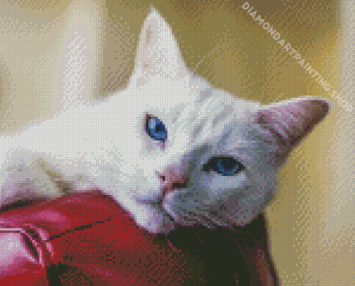 Aesthetic White Cat Diamond Painting