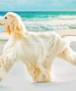 Afghan Hound Dog By Sea Diamond Painting