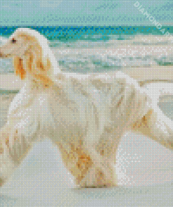 Afghan Hound Dog By Sea Diamond Painting