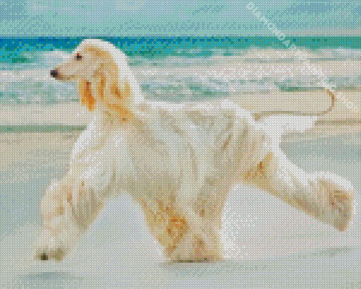 Afghan Hound Dog By Sea Diamond Painting