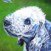 Bedlington Terrier With Butterfly Art Diamond Painting