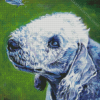 Bedlington Terrier With Butterfly Art Diamond Painting