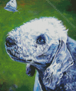 Bedlington Terrier With Butterfly Art Diamond Painting