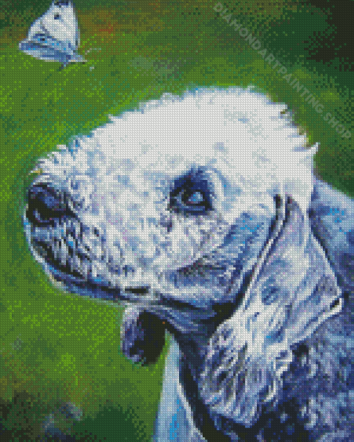 Bedlington Terrier With Butterfly Art Diamond Painting