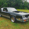 Black Oldsmobile 442 Diamond Painting