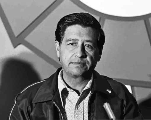 Black And White Cesar Chavez Diamond Painting