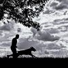 Black And White Man And Dog Silhouette Diamond Painting