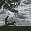 Black And White Man And Dog Silhouette Diamond Painting