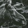 Black And White Moose Head Diamond Painting