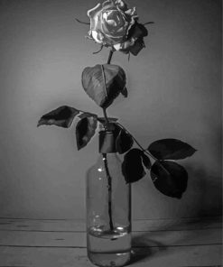 Black And White Roses In Bottles Diamond Painting