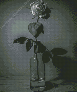 Black And White Roses In Bottles Diamond Painting