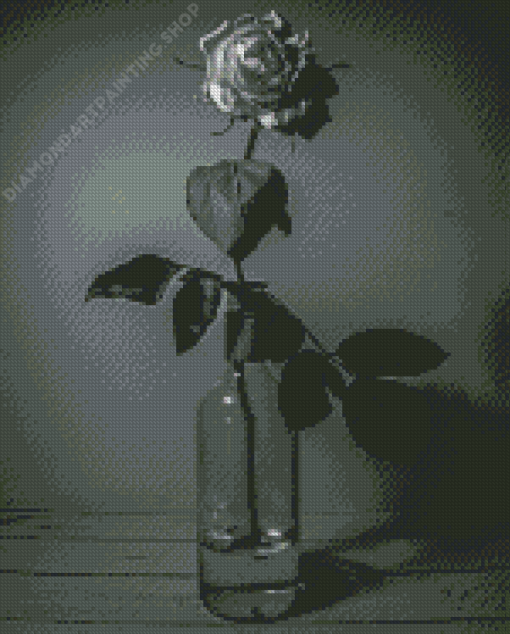 Black And White Roses In Bottles Diamond Painting