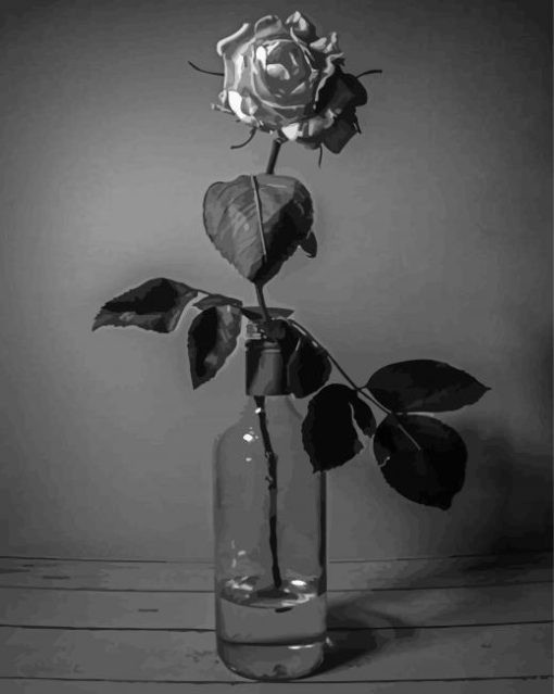 Black And White Roses In Bottles Diamond Painting