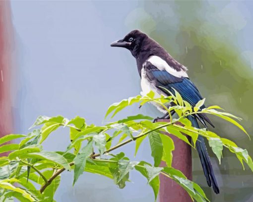 Black Billed Magpie Bird Illustration Diamond Painting