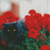 Black Cats And Flowers In Garden Diamond Painting