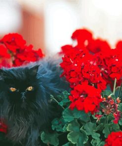 Black Cats And Flowers In Garden Diamond Painting