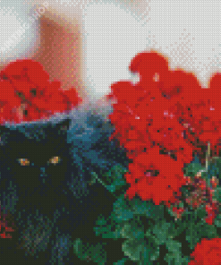 Black Cats And Flowers In Garden Diamond Painting