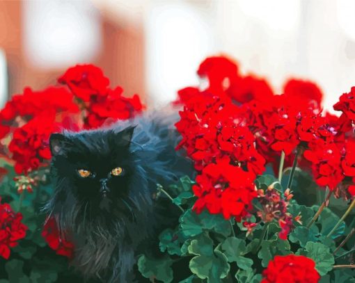 Black Cats And Flowers In Garden Diamond Painting