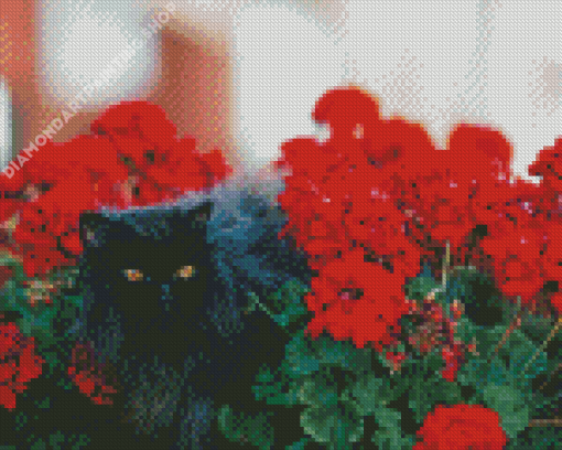 Black Cats And Flowers In Garden Diamond Painting