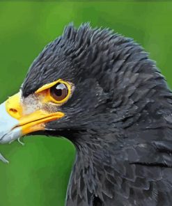 Black Eagle Head Diamond Painting