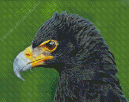 Black Eagle Head Diamond Painting