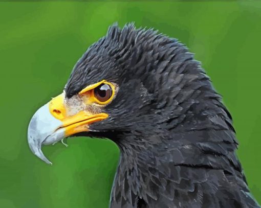 Black Eagle Head Diamond Painting